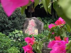 -乌山风景区