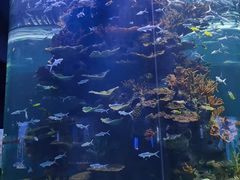 -多彩贵州城极地海洋世界