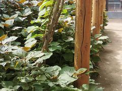 -崔家大院·特色农家菜
