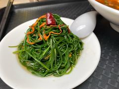 -银川河东国际机场
