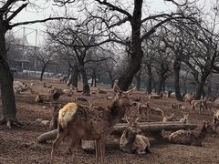 -西安秦岭野生动物园