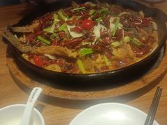 -老板恋上鱼(恒隆广场店)