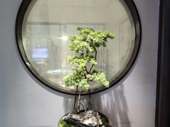 -豫丰汇河南名菜楼(武记餐饮)