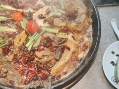 -老板恋上鱼(恒隆广场店)