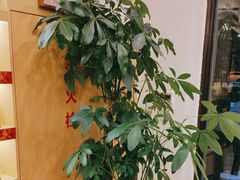 -八马茶业(星海胜利路旗舰店)