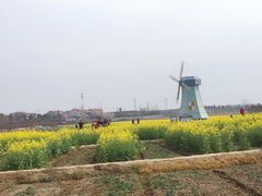 -武汉紫薇都市田园