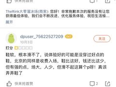 -TheRink大零溜冰场(IFS国金中心店)