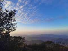 -黄埔油麻山森林公园