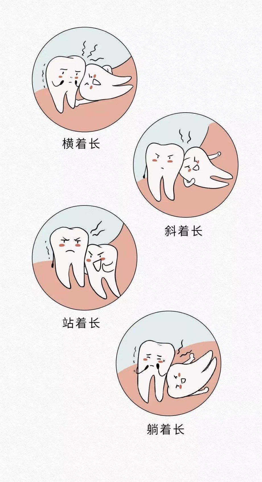 智齿一定要拔除吗