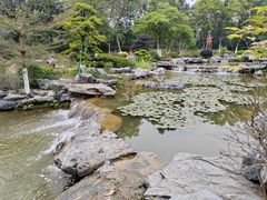 -东莞植物园