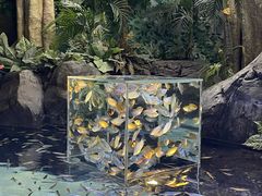 -上海海洋水族馆