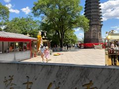 -高尔山公园