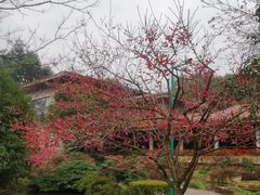 -中国茶叶博物馆(双峰馆区)