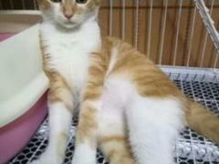 -骐奇宠物诊疗中心(南亭公路店)