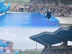 -上海海昌海洋公园