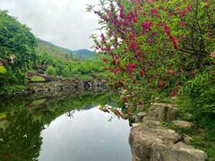 -冶父山国家森林公园