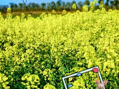 -白鹭湾湿地公园