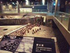 -元代水闸遗址博物馆