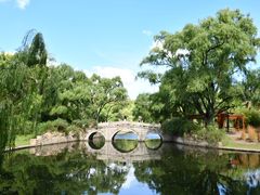 -上海共青森林公园