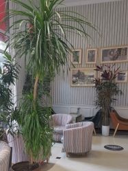 -爱儿美儿童摄影(五路居花园别墅店)