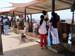 -尼甘布海鲜市场