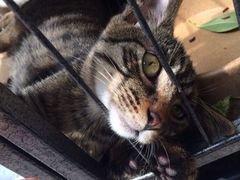 iphone_upload_pic-沐恩堂