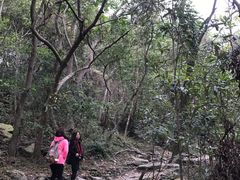 -太鲁阁公园