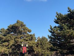 -北陵公园