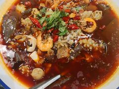 -邵年鸽(杨庄店)