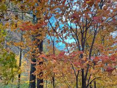 -本溪老边沟风景区