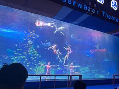 -泉城欧乐堡海洋极地世界