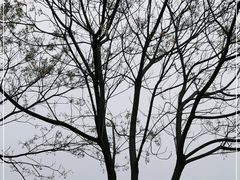 -盘龙城国家考古遗址公园