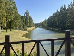 -黄海国家森林公园