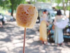 -西双版纳傣族园