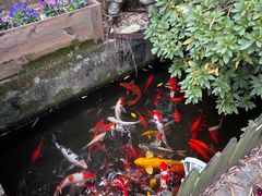 -老洋房花园饭店(绍兴路店)