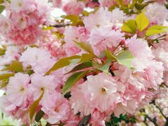 -山东大学(软件园校区)