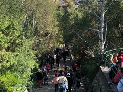 景点-景山公园