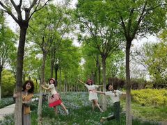 -天津东丽湖风景区