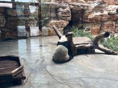 -石家庄市动物园