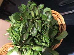 -大红袍火锅料理(尖沙咀店)