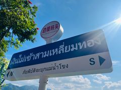 -西双版纳傣族园