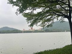 -顺峰山公园