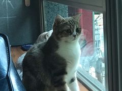 -咖法森林·咖啡  酒吧(天河店)