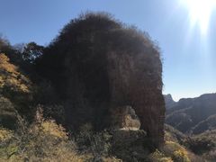 -老象峰