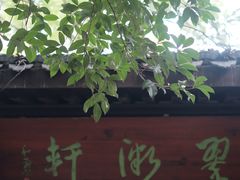 -杭州半山国家森林公园