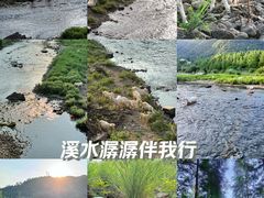 -小芝红树林
