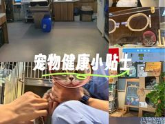 -御宝贝·A梦猫科宠物医院(国际猫友好医院)