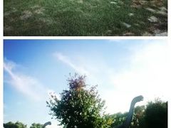 -黑龙江省森林植物园