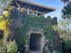 -原山国家森林公园