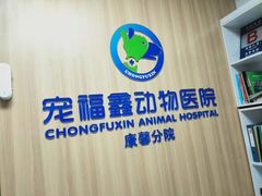-宠福鑫康馨动物医院·骨科·眼科